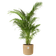b.for soft round 14cm sabbia dorata