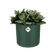 b.for soft rond 18cm blad groen