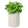 bouncy basil linnen wit