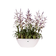 brussels oval 36cm white