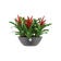 brussels oval 36cm anthracite