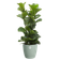 brussels round 30cm sorbet green