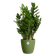 brussels round 14cm moss green