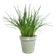 green basics growpot 11cm stone green