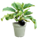 green basics anzuchttopf 27cm steingrün