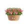 green basics bowl 38cm mild terra