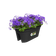 green basics flower bridge 55cm living noir