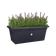 green basics garten xxl 60cm living schwarz