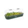 green basics kweektray l blad groen