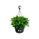 green basics hangschaal 28cm living black