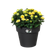 green basics top planter 23cm living black