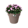 green basics top planter 47cm taupe