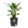 greensense aqua care round 43cm charcoal grey