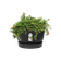 greenville bowl 33cm living black