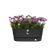 greenville terrace trough 80cm wheels living black