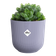 jazz round mini 7cm lavender lilac