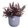 jazz rond 14cm lavendel lila