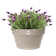 loft urban bowl 35cm mushroom beige