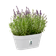 loft urban green wall duo 28cm weiss