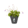 loft urban green wall single 15cm anthrazit