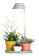 plant light care 11cm gletsjer grijs