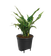 self-watering insert 17cm living black