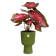 vibes fold coupe 30cm varengroen