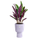vibes fold coupe 30cm soft lilac