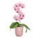 vibes fold orchidee hoog 12,5cm frosted pink