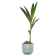 vibes fold round 30cm sorbet green