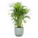 vibes fold round 47cm sorbet green