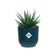 vibes fold round mini 7cm deep blue