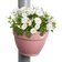 vibia campana fallrohrpflanzgefäss 22cm puderrosa
