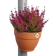 vibia campana regenpijpbakje 22cm terra