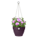 vibia campana hanging basket 26cm maple purple