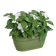vibia campana wall basket 35cm moss green
