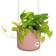 b.for swing 18cm delicate pink