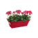 barcelona trough 40cm cranberry red