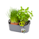 brussels herbs station 30cm anthracite