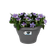 corsica wall basket 25cm anthracite