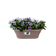 corsica wall basket 39cm taupe