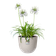 fuente lily rond 38cm kiezelgrijs