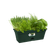 green basics balkonbak mini 30cm blad groen
