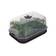 green basics grow kit allin1 40cm living black
