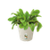 green basics growpot 15cm cotton white