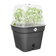 green basics growpot square allin1 25cm living black