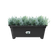 green basics lang 60cm living black