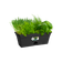 green basics trough mini 30cm living black