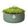magic microgreens blad groen