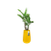 pure cone high 55cm ocker